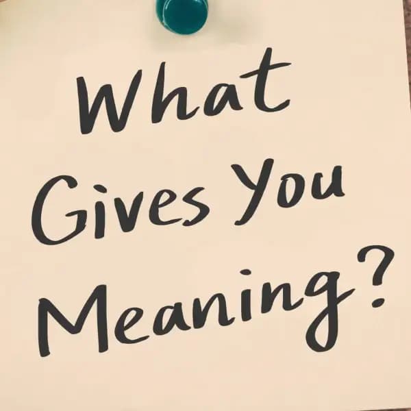 The Purpose of Life- Reflections on Retirement